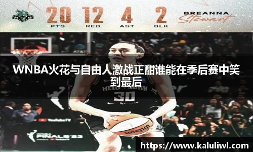 WNBA火花与自由人激战正酣谁能在季后赛中笑到最后